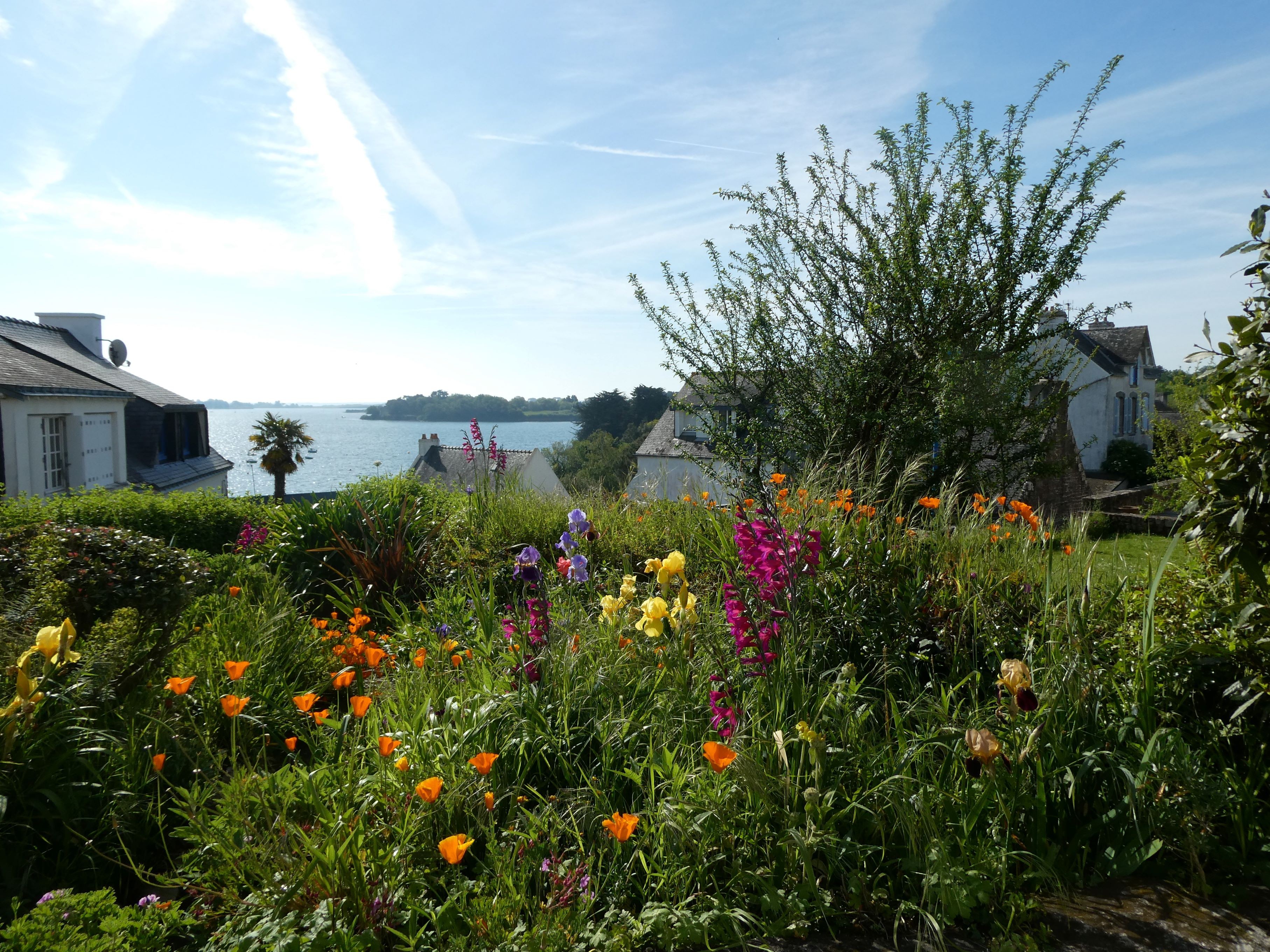 07 bretagne 20083