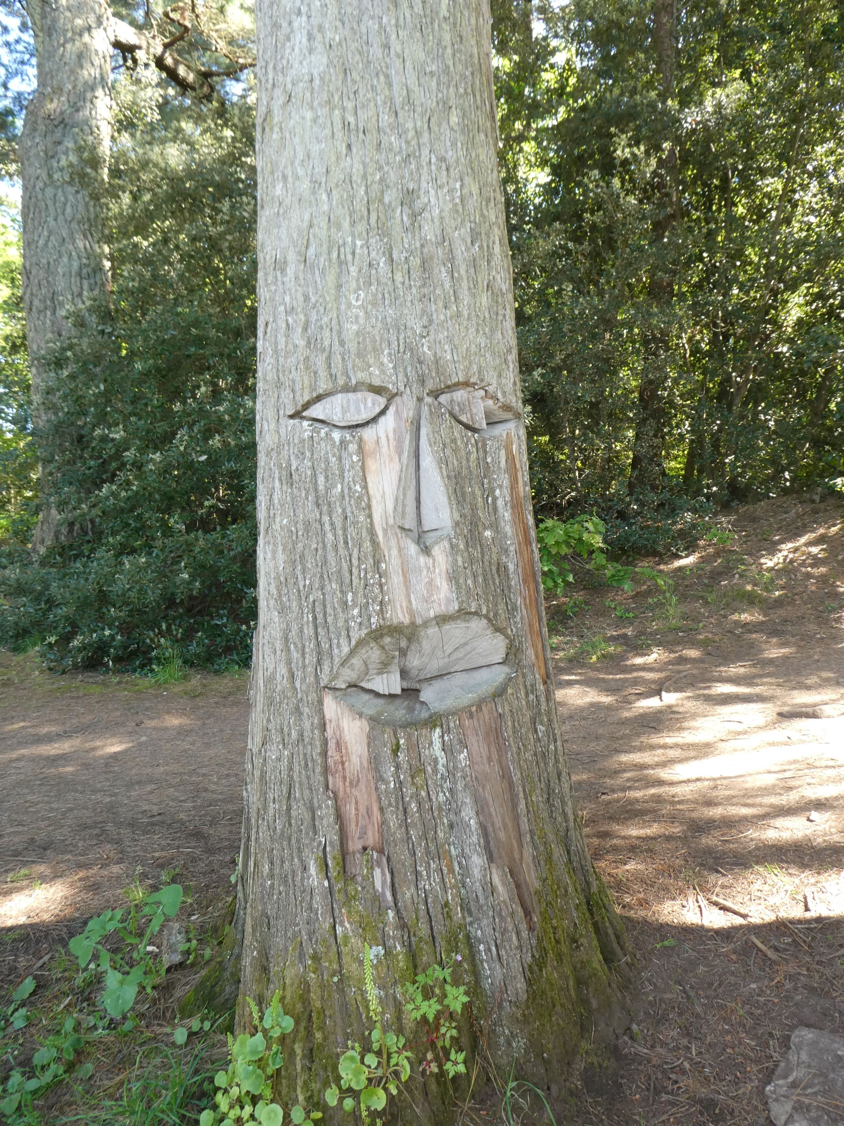 07 bretagne 20098