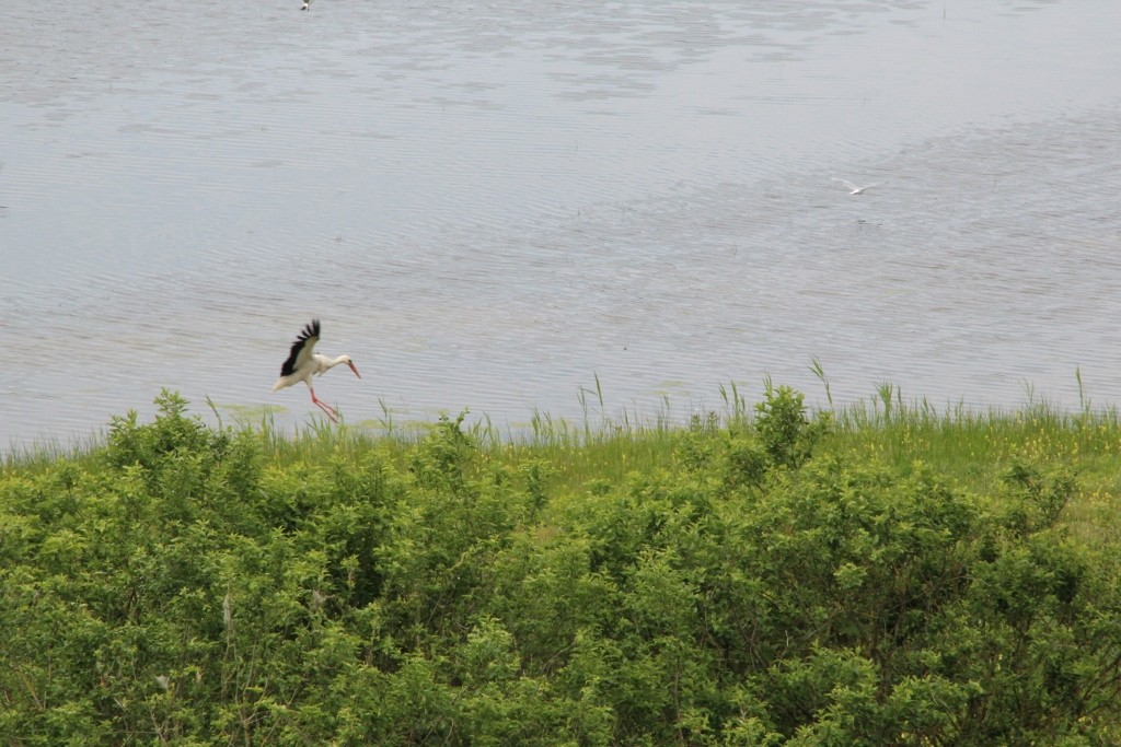 Img 2429 1024x683 
