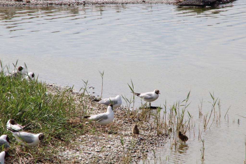 Img 2455 1024x683 
