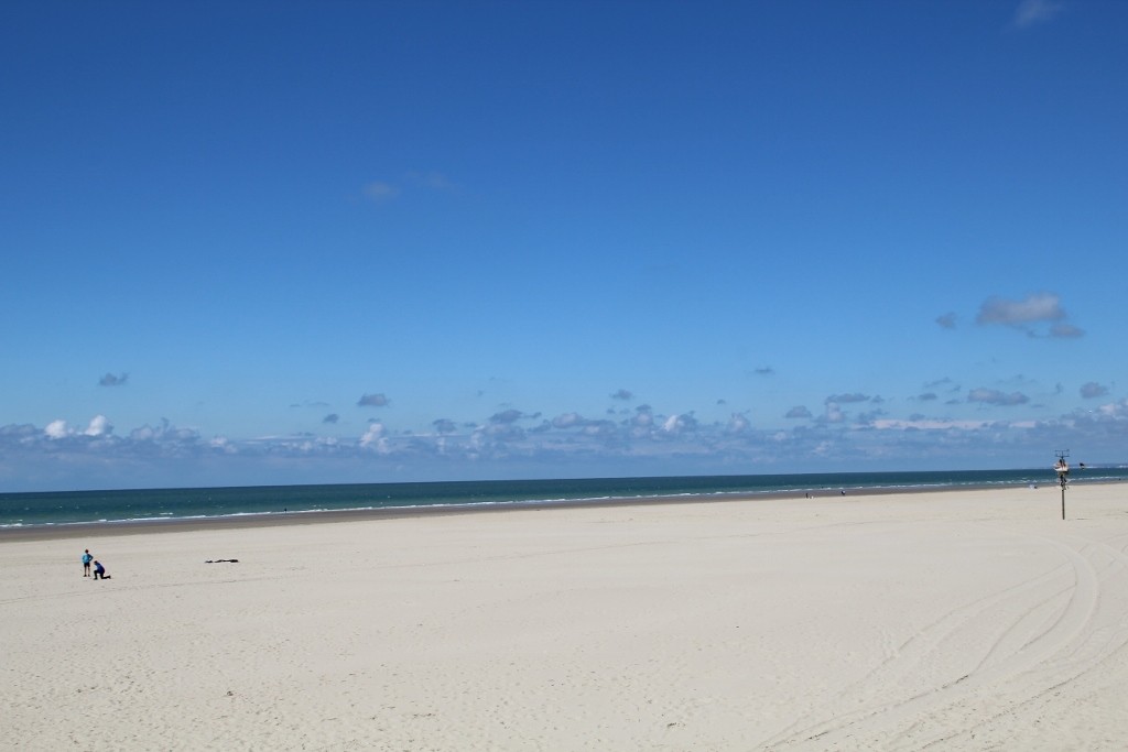 Img 2489 1024x683 
