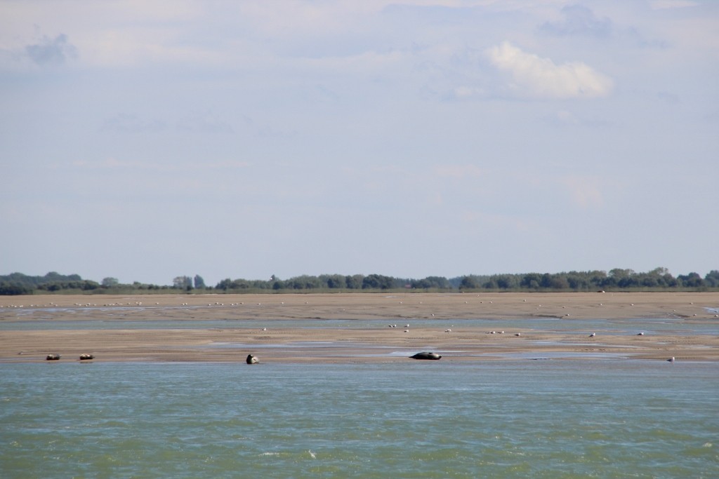 Img 2498 1024x683 