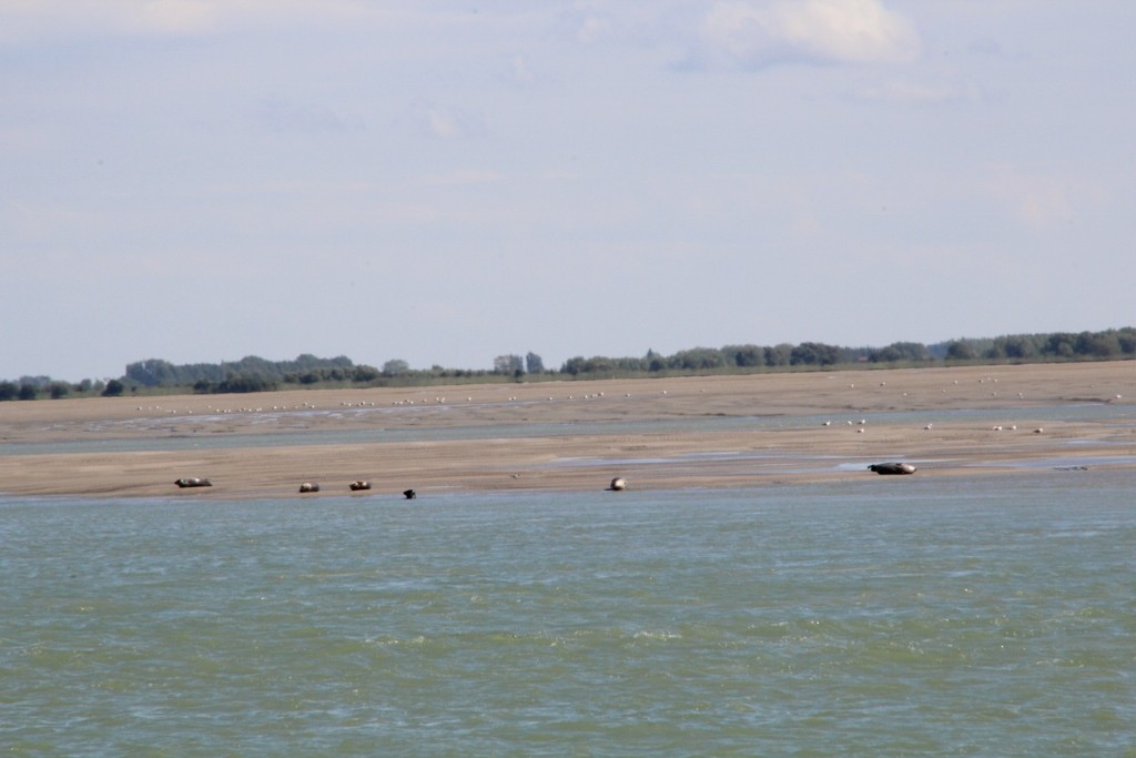 Img 2499 1024x683 