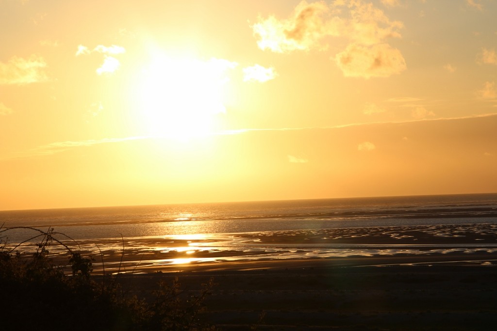 Img 2505 1024x683 