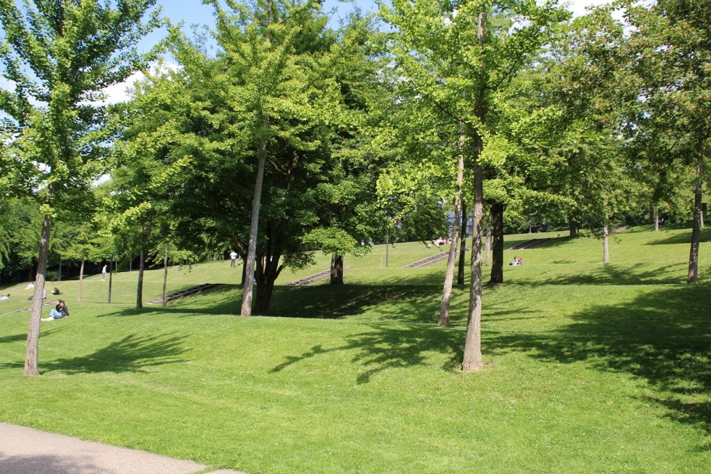 Img 2575 1024x683 